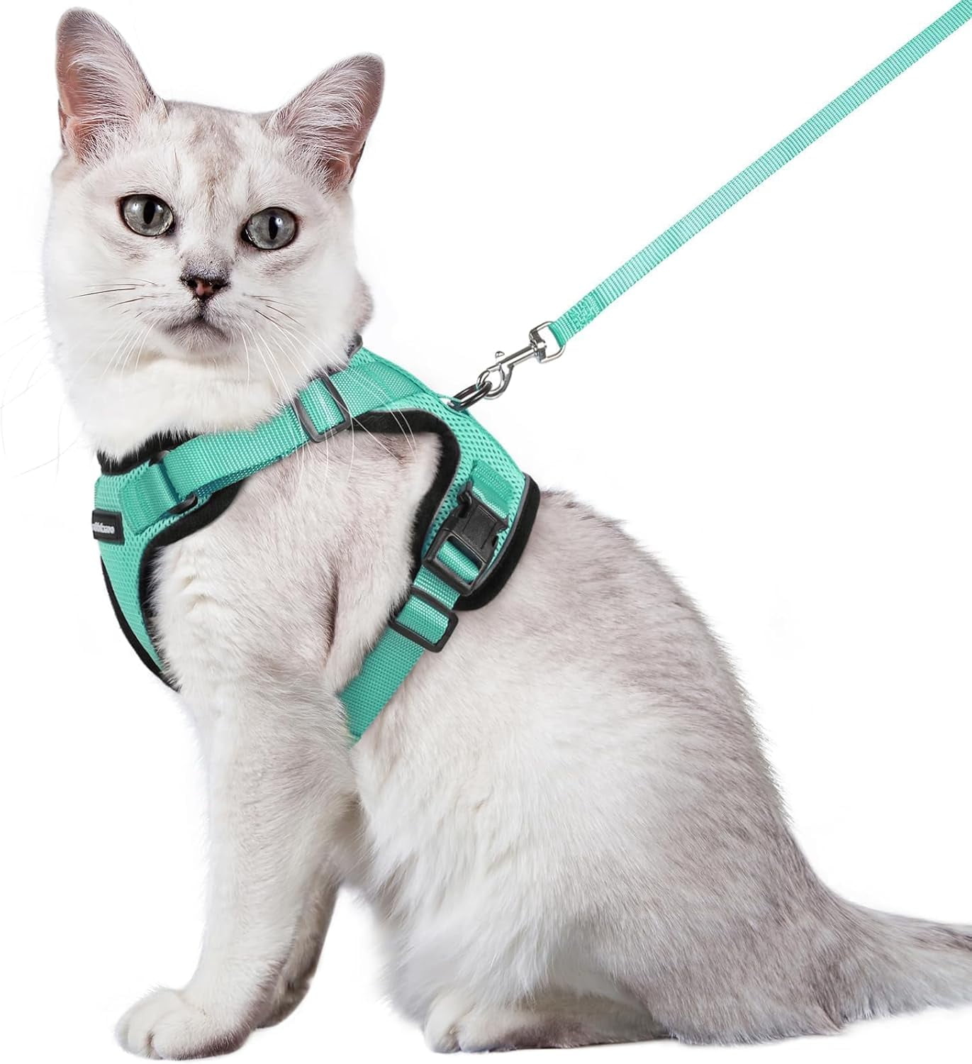 are elevated food bowls better for cats Elevated Tilted Ceramic Food Bowl Seafoam