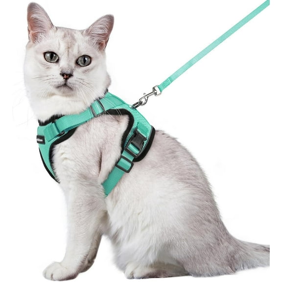 rabbitgoo Cat Harness and Leash for Walking, Escape Proof Soft Adjustable Vest Harnesses for Cats, Easy Control Breathable Reflective Strips Jacket, Turquoise Green