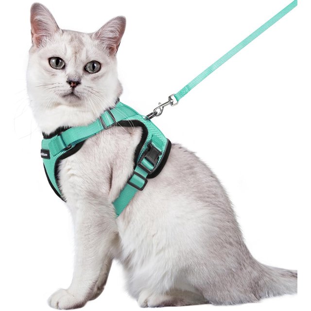rabbitgoo Cat Harness and Leash for Walking, Escape Proof Soft