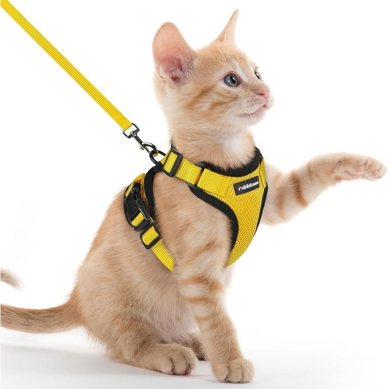 Xxxs Dog Harness For To Lb Dogs Cat Harness Leash Walking