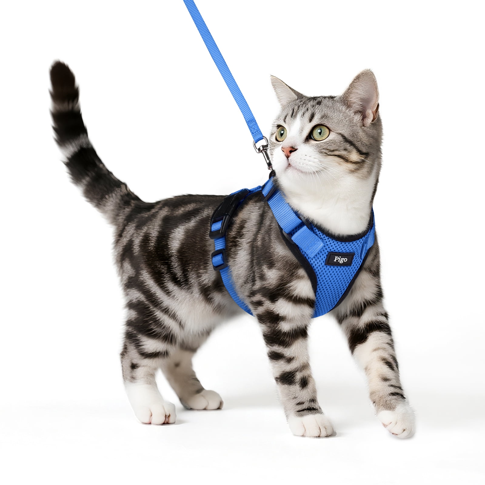 Pigo Cat Harness and Leash for Walking, Escape Proof Soft Adjustable ...