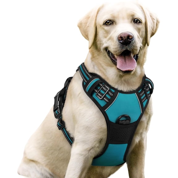 rabbitgoo Dog Harness, No-Pull Pet Harness with 2 Leash Clips, Adjustable Soft Padded Dog Vest, Reflective Outdoor Pet Oxford Vest with Easy Control Handle for Large Dogs, Teal