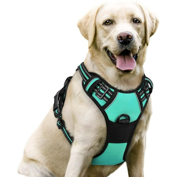 rabbitgoo Dog Harness, No-Pull Pet Harness with 2 Leash Clips, Adjustable Soft Padded Dog Vest, Reflective Outdoor Pet Oxford Vest with Easy Control Handle for Large Dogs, Turquoise