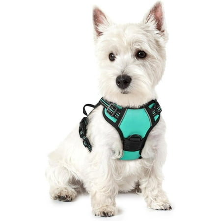 rabbitgoo Dog Harness, No-Pull Pet Harness with 2 Leash Clips, Adjustable Soft Padded Dog Vest, Reflective Outdoor Pet Oxford Vest with Easy Control Handle for Large Dogs, Turquoise