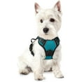 thumbnail image 1 of rabbitgoo Dog Harness, No-Pull Pet Harness with 2 Leash Clips, Adjustable Soft Padded Dog Vest, Reflective Outdoor Pet Oxford Vest with Easy Control Handle for Large Dogs, Teal, 1 of 10