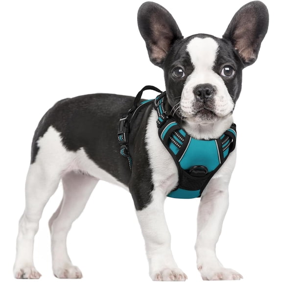 rabbitgoo Dog Harness, No-Pull Pet Harness with 2 Leash Clips, Adjustable Soft Padded Dog Vest, Reflective Outdoor Pet Oxford Vest with Easy Control Handle for Large Dogs, Teal