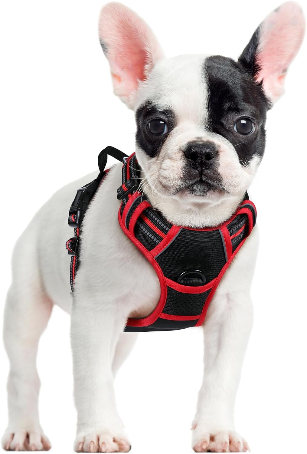 rabbitgoo Dog Harness, No-Pull Pet Harness with 2 Leash Clips, Adjustable Soft Padded Dog Vest, Reflective Outdoor Pet Oxford Vest with Easy Control Handle for Large Dogs, Black & Red