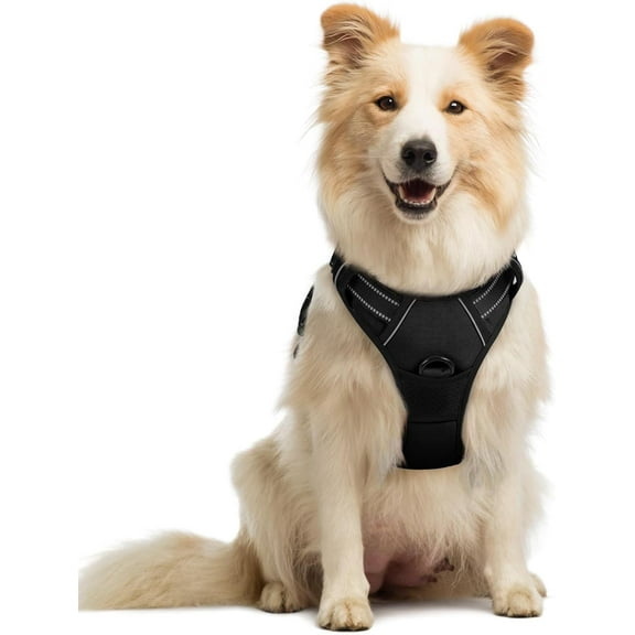 rabbitgoo Dog Harness, No-Pull Pet Harness with 2 Leash Clips, Adjustable Soft Padded Dog Vest, Reflective Outdoor Pet Oxford Vest with Easy Control Handle for Large Dogs, Black
