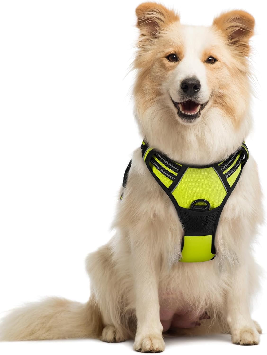 rabbitgoo Dog Harness, No-Pull Pet Harness with Leash Clips