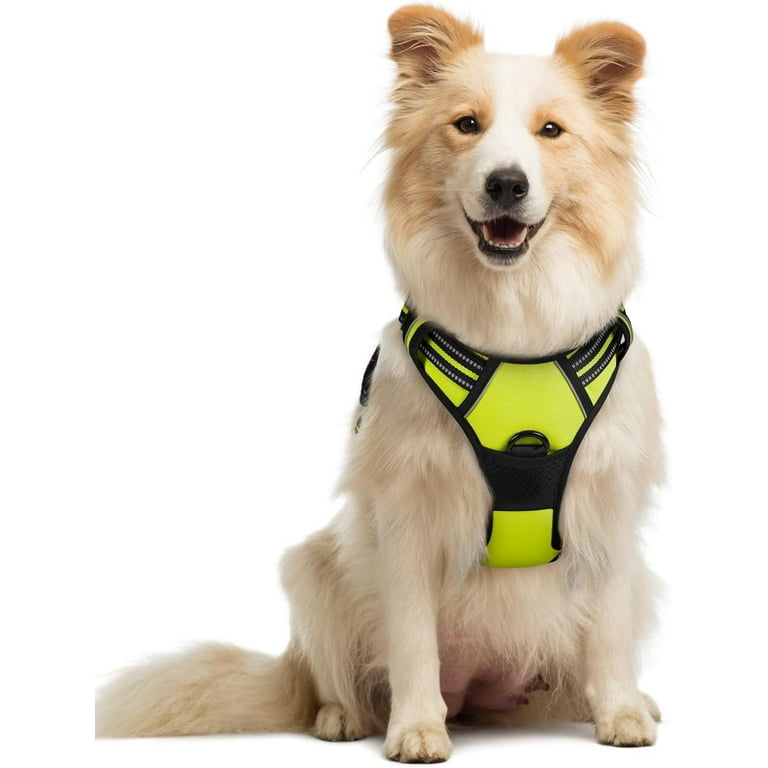 rabbitgoo Dog Harness, No-Pull Pet Harness with Leash Clips