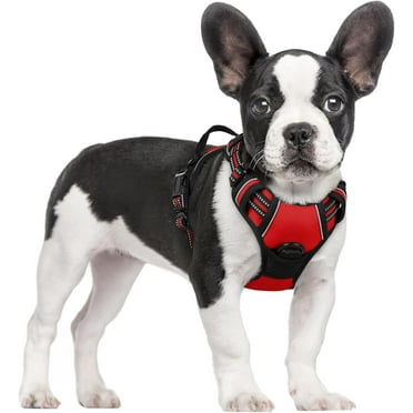 rabbitgoo Dog Harness, No-Pull Pet Harness with 2 Leash Clips, Adjustable Soft Padded Dog Vest, Reflective Outdoor Pet Oxford Vest with Easy Control Handle for Small Dogs, Red