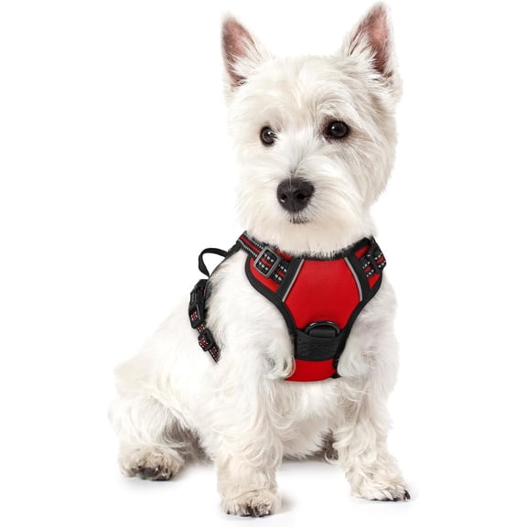 rabbitgoo Dog Harness, No-Pull Pet Harness with 2 Leash Clips, Adjustable Soft Padded Dog Vest, Reflective Outdoor Pet Oxford Vest with Easy Control Handle for Small Dogs, Red