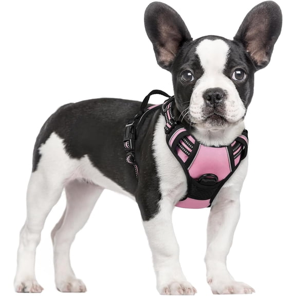 rabbitgoo Dog Harness, No-Pull Pet Harness with 2 Leash Clips, Adjustable Soft Padded Dog Vest, Reflective Outdoor Pet Oxford Vest with Easy Control Handle for Small Dogs, Pink