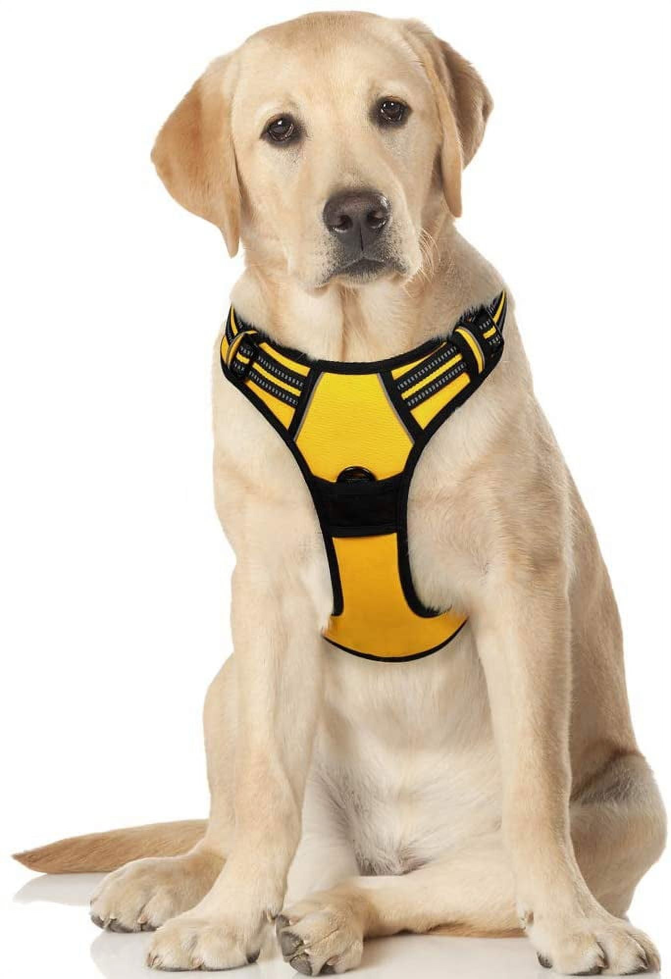 Rabbitgoo dog best sale harness fitting