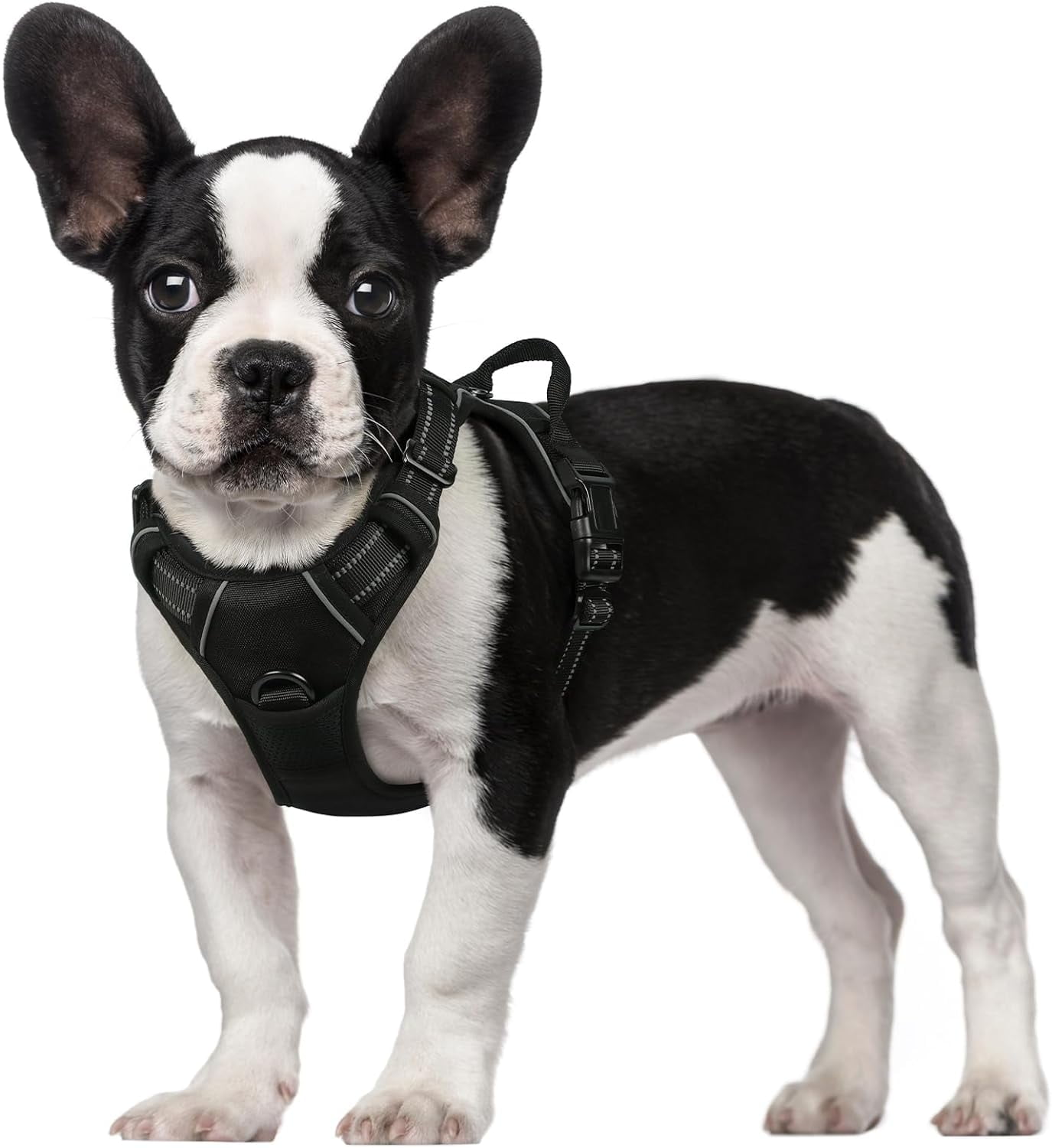 rabbitgoo No Pull Pet Harness for Medium Puppy Adjustable Dog Vest with Leash Clips Black Walmart