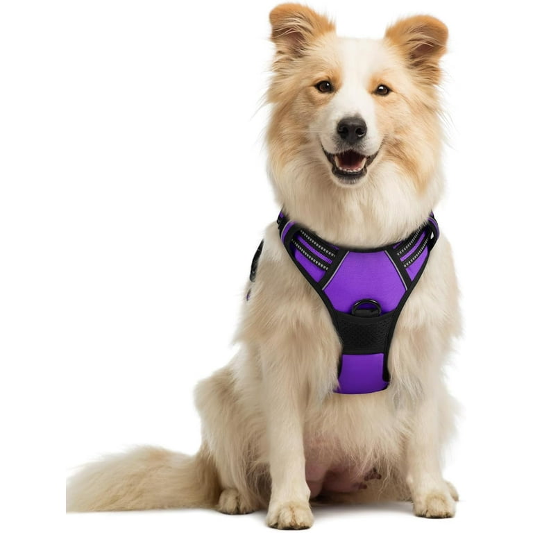Rabbitgoo No Pull Dog Harness: Easy Control, Adjustable - Main Image