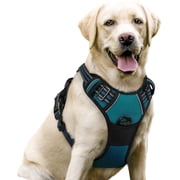 rabbitgoo Dog Harness, No Pull Pet Harness with 2 Leash Clips, Adjustable Soft Padded Dog Vest, Reflective Outdoor Pet Oxford Vest with Easy Control Handle for Small Dogs, Blue Coral