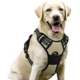 thumbnail image 1 of rabbitgoo Dog Harness, No Pull Pet Harness with 2 Leash Clips, Adjustable Soft Padded Dog Vest, Reflective Outdoor Pet Oxford Vest with Easy Control Handle for Small Dogs, Beige, 1 of 8