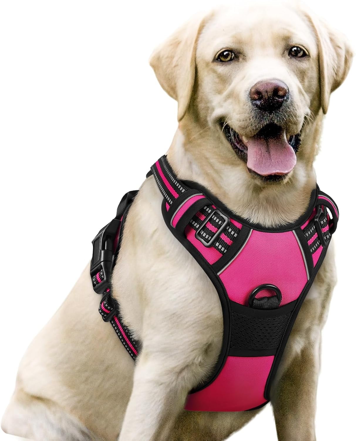 rabbitgoo Dog Harness, No Pull Pet Harness with 2 Leash Clips, Adjustable Soft Padded Dog Vest, Reflective Outdoor Pet Oxford Vest with Easy Control Handle for Small Dogs, Hot Pink