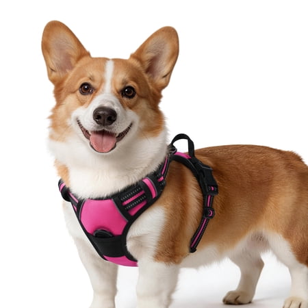 Pigo Dog Harness No Pull Pet Harness with 2 Leash Clips, Adjustable Soft Padded Dog Vest, No Choke Reflective Outdoor Pet Oxford Vest with Easy Control Handle for Small Dogs, Hot Pink