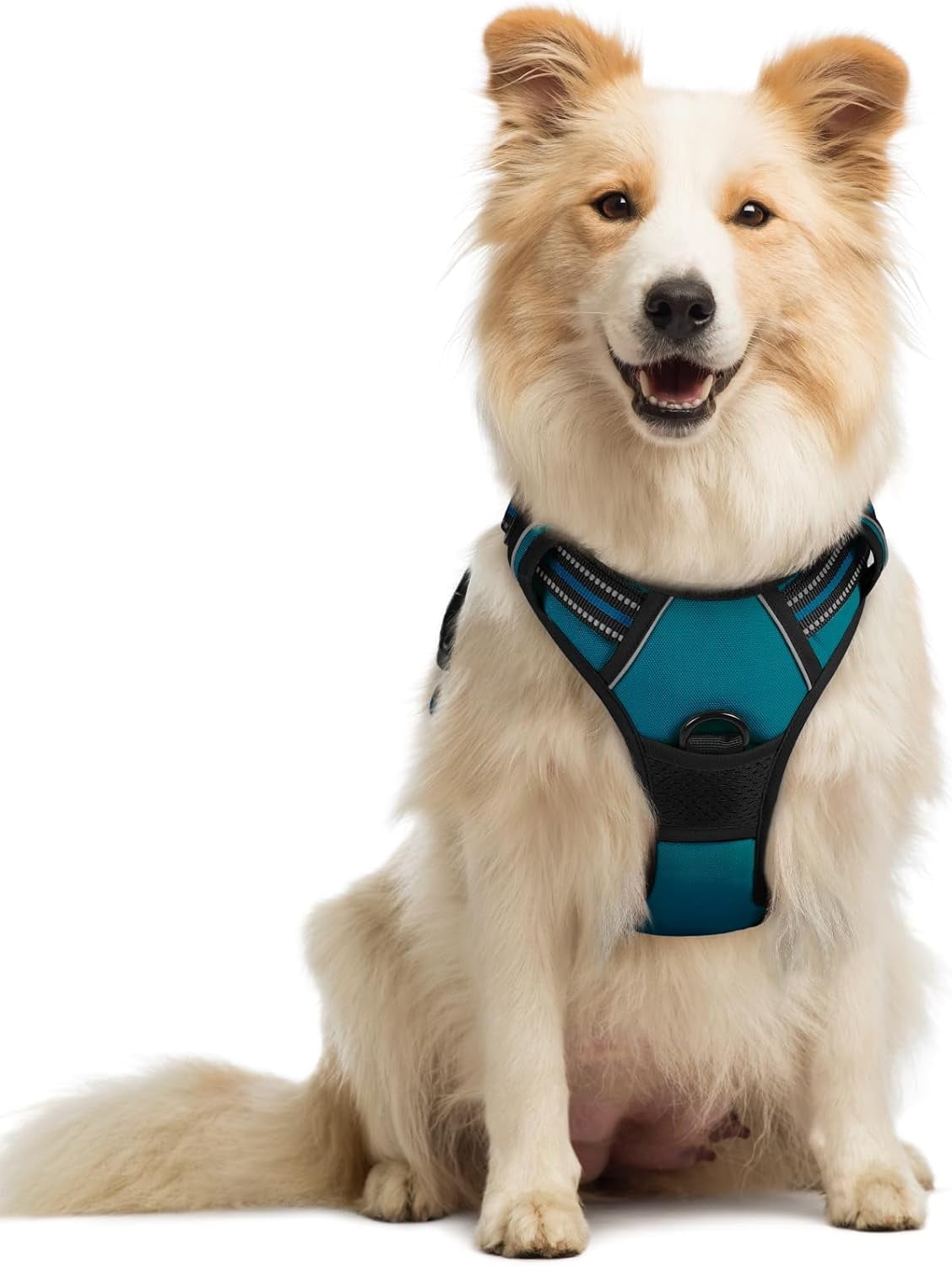 rabbitgoo Dog Harness, No Pull Pet Harness with 2 Leash Clips, Adjustable Soft Padded Dog Vest, Reflective Outdoor Pet Oxford Vest with Easy Control Handle for Small Dogs, Blue Coral