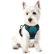 rabbitgoo Dog Harness, No Pull Pet Harness with 2 Leash Clips, Adjustable Soft Padded Dog Vest, Reflective Outdoor Pet Oxford Vest with Easy Control Handle for 