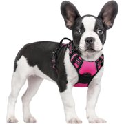 Pigo Dog Harness, No Pull Pet Harness with 2 Leash Clips, Adjustable Soft Padded Dog Vest, Reflective Outdoor Pet Oxford Vest with Easy Control Handle for Small Dogs, Hot Pink