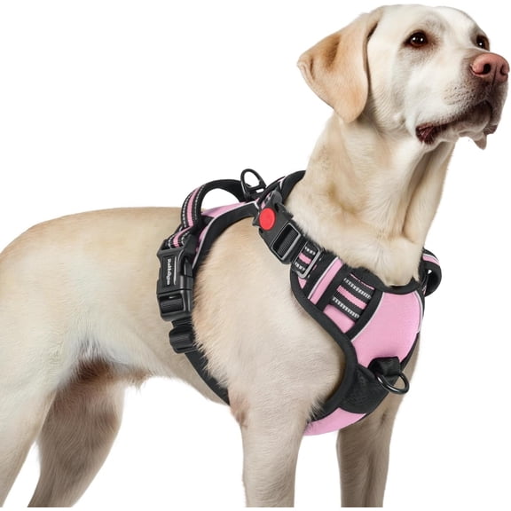 rabbitgoo Dog Harness Small Sized, No Pull Pet Harness with 3 Buckles, Adjustable Soft Padded Dog Vest with Instant Control Handle, Easy Walking Reflective Pet Vest for Small Dogs, Pink, Large