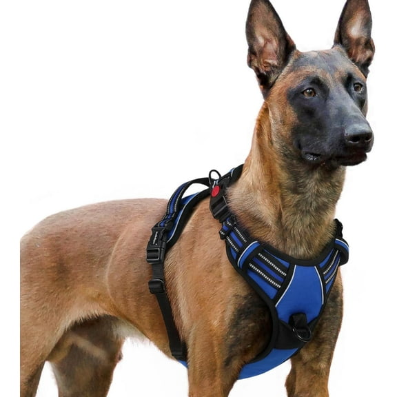 rabbitgoo Dog Harness Small Sized, No Pull Pet Harness with 3 Buckles, Adjustable Soft Padded Dog Vest with Instant Control Handle, Easy Walking Reflective Pet Vest for Small Dogs, Blue, Extra Large