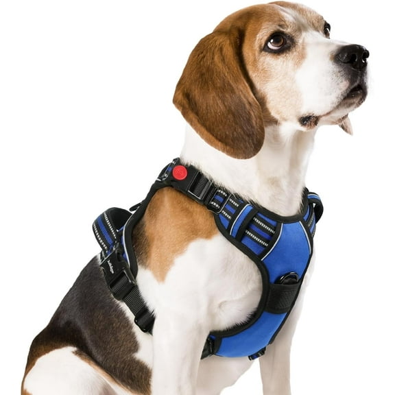 rabbitgoo Dog Harness Small Sized, No Pull Pet Harness with 3 Buckles, Adjustable Soft Padded Dog Vest with Instant Control Handle, Easy Walking Reflective Pet Vest for Small Dogs, Blue, Medium