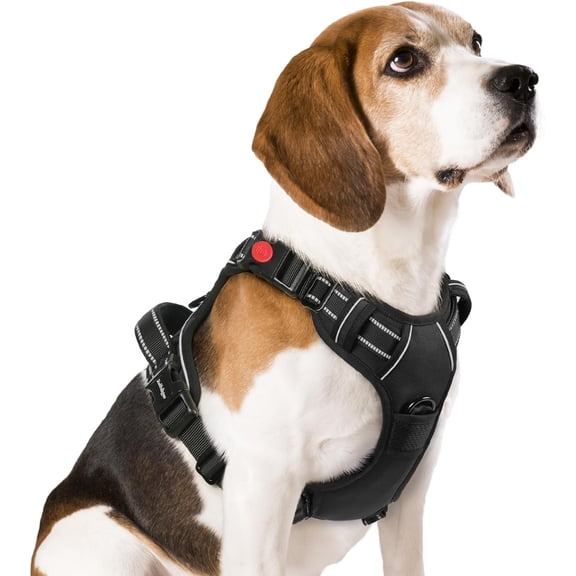 rabbitgoo Dog Harness Small Sized, No Pull Pet Harness with 3 Buckles, Adjustable Soft Padded Dog Vest with Instant Control Handle, Easy Walking Reflective Pet Vest for Small Dogs, Black, Medium