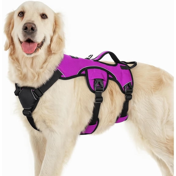 rabbitgoo Escape Proof Dog Harness, Soft Padded Full Body Pet Harness, Reflective Adjustable No Pull Vest with Lift Handle and Lesh Clip for Large Dogs Walking Hiking Training, Purple