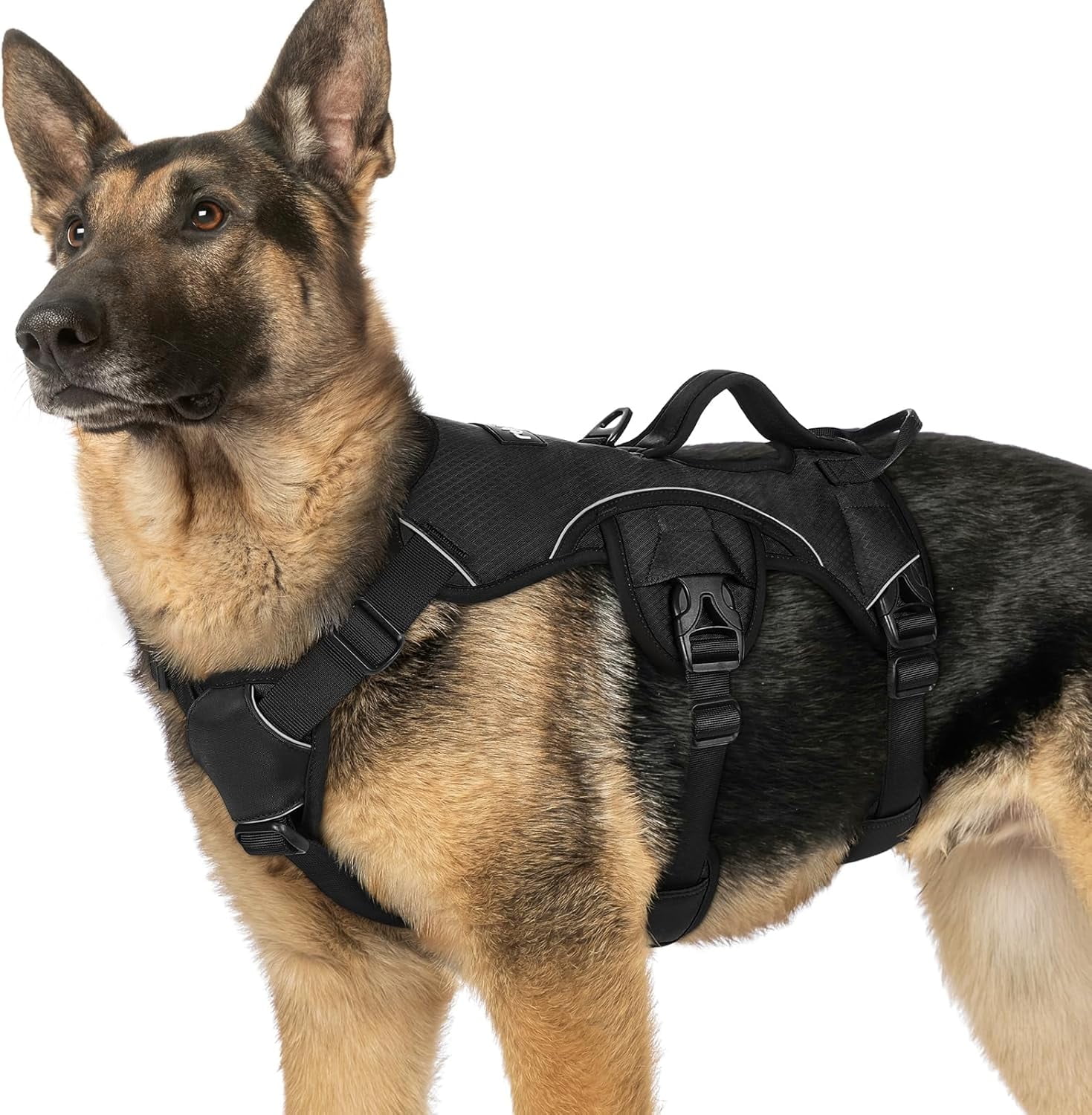Strong Harness For Small Dog Cat Puppy Working Training Vest With