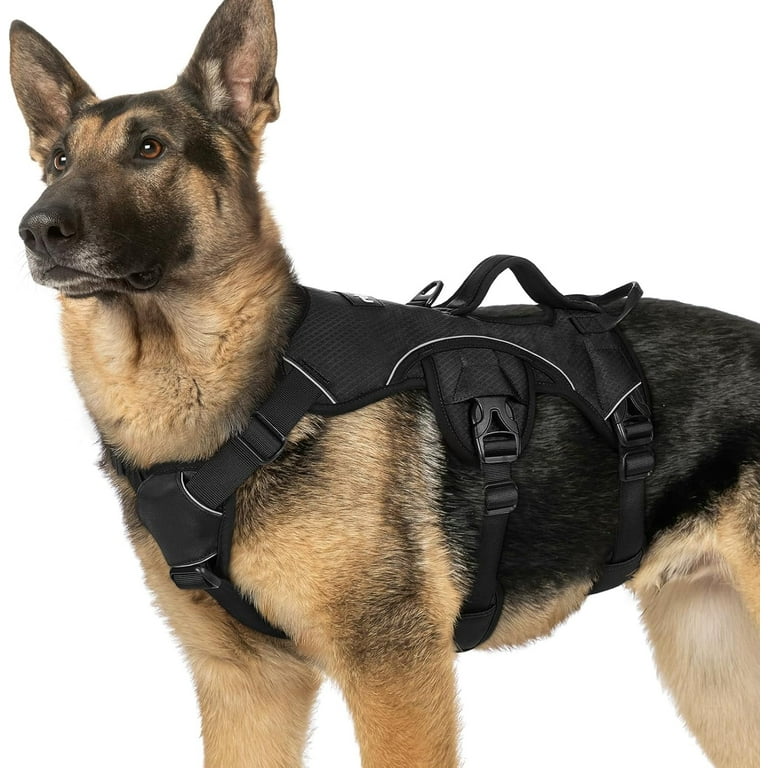 rabbitgoo Escape Proof Dog Harness, Soft Padded Full Body Pet
