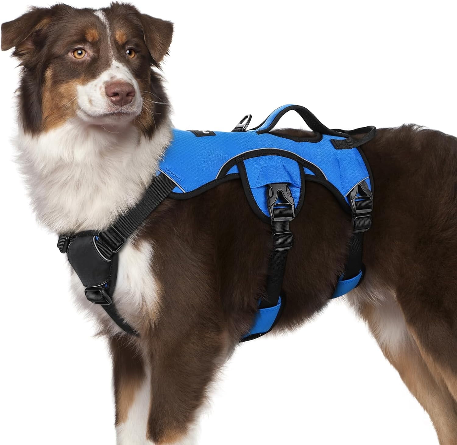 rabbitgoo Escape Proof Dog Harness, Soft Padded Full Body Pet Harness, Reflective Adjustable No Pull Vest with Lift Handle and Lesh Clip for Large Dogs Walking Hiking Training, Blue