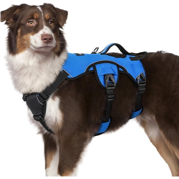rabbitgoo Escape Proof Dog Harness, Soft Padded Full Body Pet Harness, Reflective Adjustable No Pull Vest with Lift Handle and Lesh Clip for Large Dogs Walking Hiking Training, Blue