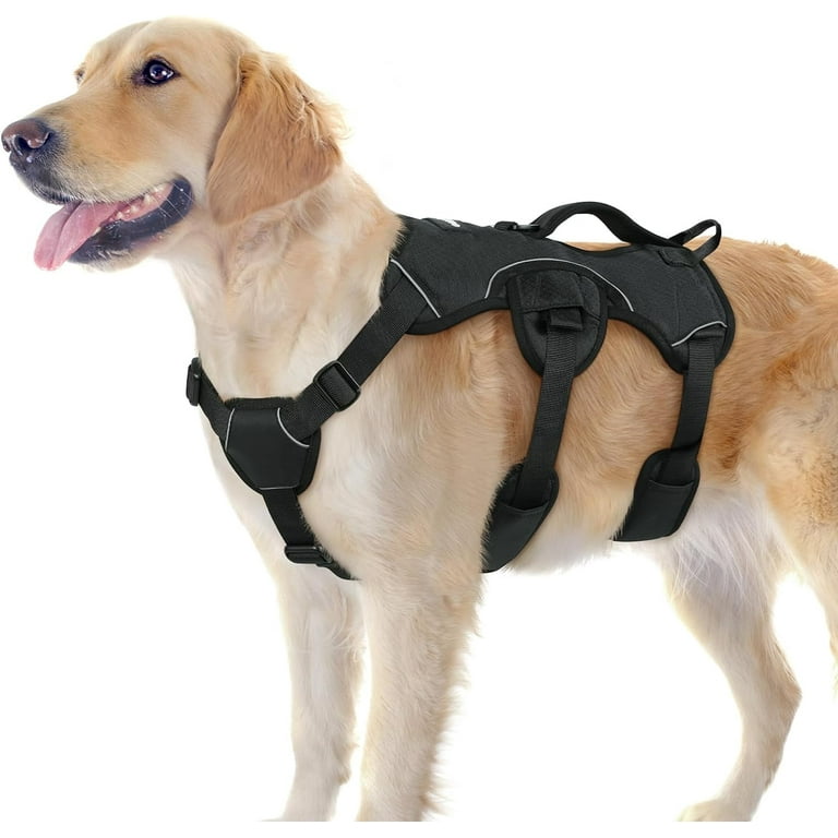 rabbitgoo Escape-Proof Dog Harness, Soft Padded Pet Harness, No