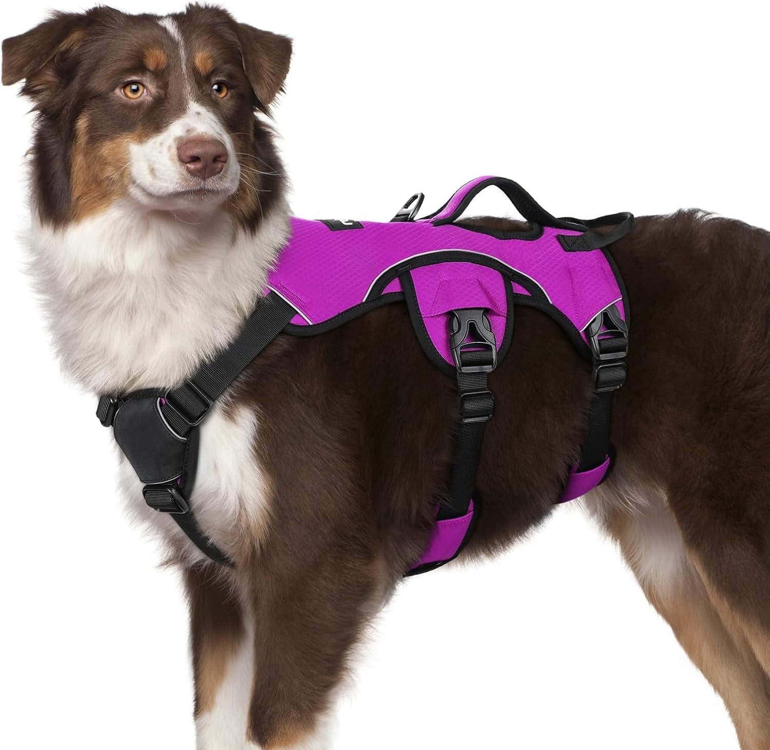 rabbitgoo Escape Proof Dog Harness, Soft Padded Full Body Pet Harness