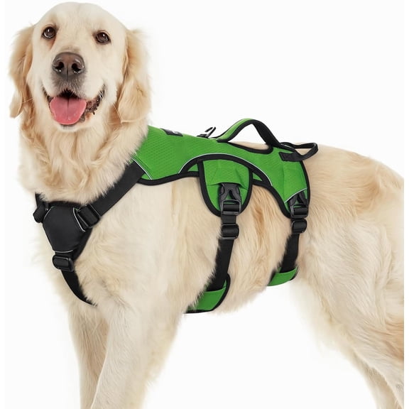 rabbitgoo Escape Proof Dog Harness, Soft Padded Full Body Pet Harness, Reflective Adjustable No Pull Vest with Lift Handle and Lesh Clip for Large Dogs Walking Hiking Training, Green