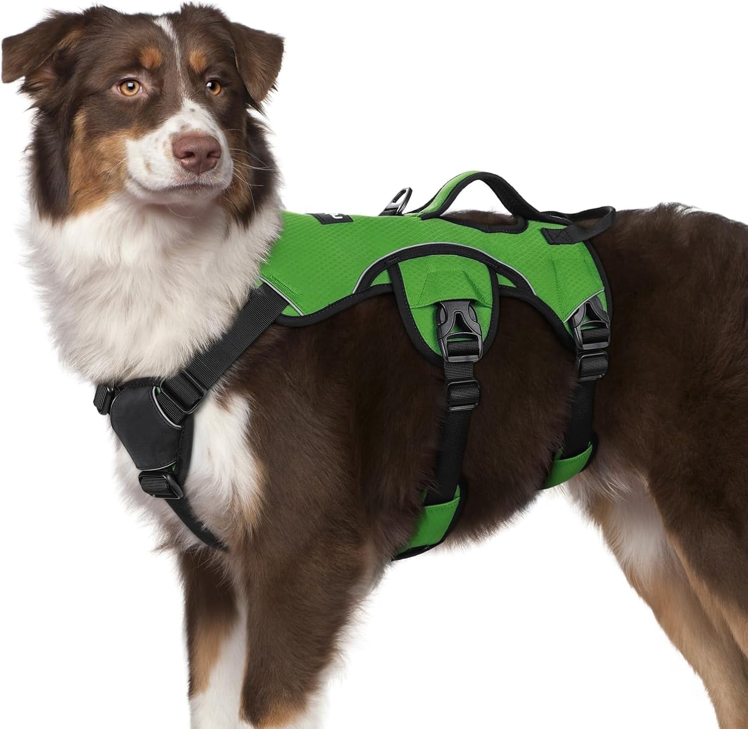rabbitgoo Escape Proof Dog Harness, Soft Padded Full Body Pet Harness, Reflective Adjustable No Pull Vest with Lift Handle and Lesh Clip for Large Dogs Walking Hiking Training, Green