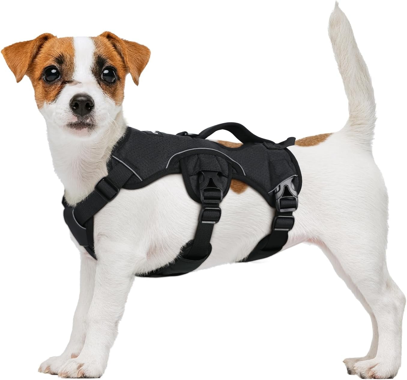 rabbitgoo Escape Proof Dog Harness, Soft Padded Full Body Pet Harness, Reflective Adjustable No Pull Vest with Lift Handle and Lesh Clip for Large Dogs Walking Hiking Training, Black