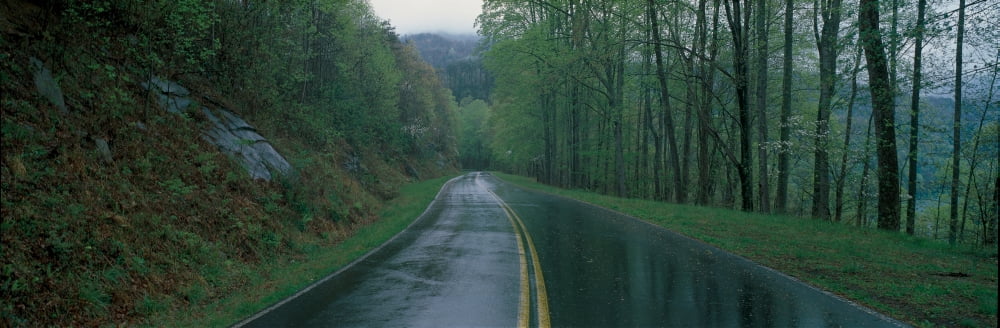 This is a rain soaked road showing bad weather It is called the Foothill Parkway and is surrounded by green trees It heads off into a curve toward the right Canvas Art - Panoramic Images (27 x 9)