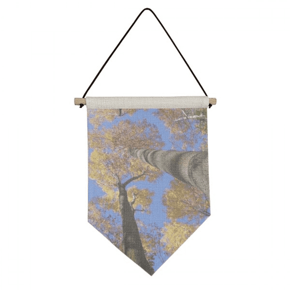 red  science nature scenery Canvas Flag Hanging Wall Art Decor Banner