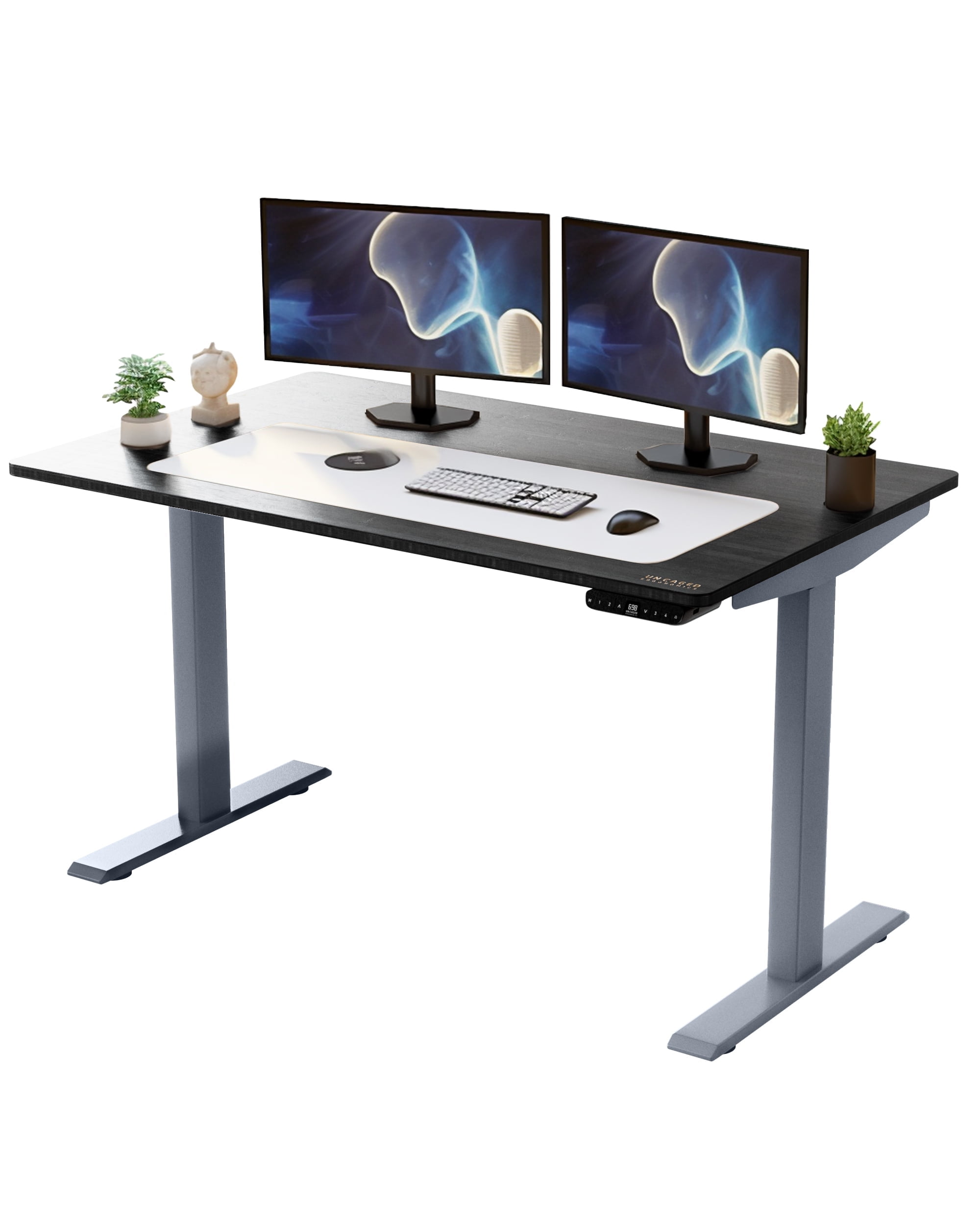 Rise UP Electric Standing Desk adjustable height desk 24-49