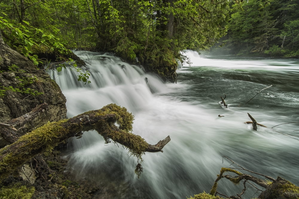 A river flows over a small waterfall in Nisgaa Memorial Lava Bed Provincial Park British columbia Canada Canvas Art - Robert Postma Design Pics (19 x 12)