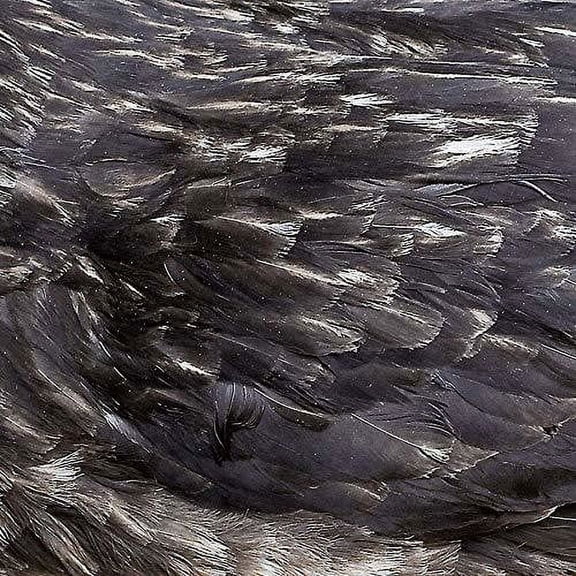 Árstíðir - Something Wicked Marches In - Vinyl