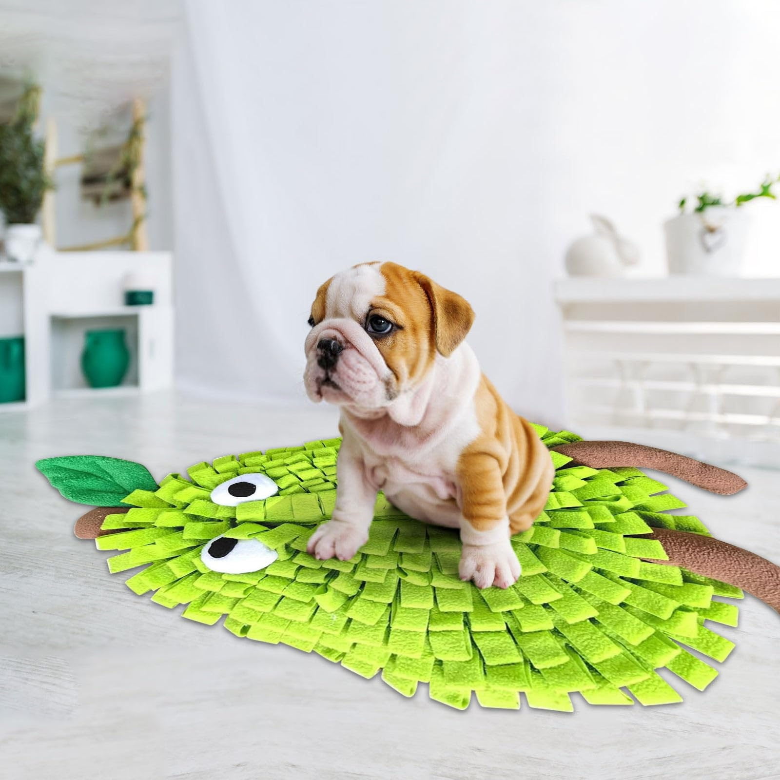 rugs for living room Snuffle Mat For Dogs Fruit Shape Pet Sniffing Mat