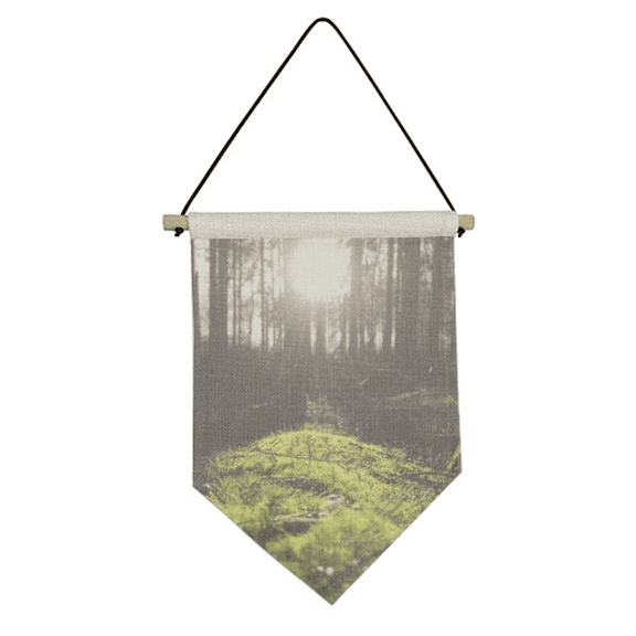 ry science nature scenery Canvas Flag Hanging Wall Art Decor Banner