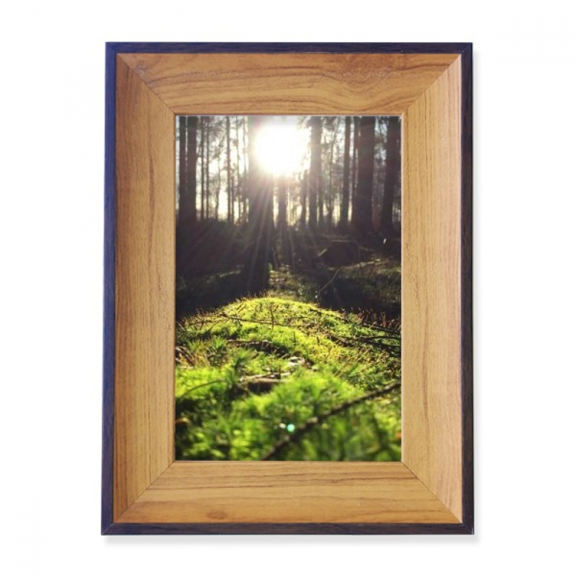 ry science nature scenery photo frame exhibition display art desktop painting