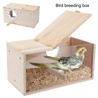 Buddeez 8 Qt and 3.5 Qt Wild or Pet Bird Seed Dispenser Set (Set of 2  Containers with Lids) 